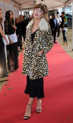 المغني الثعالب