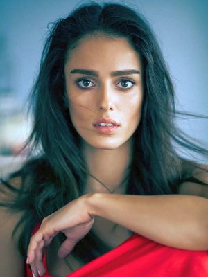 ベステス・オズデミール