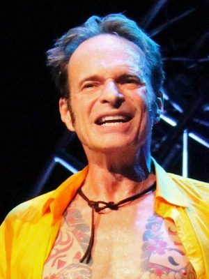 וולפגנג ואן היילן