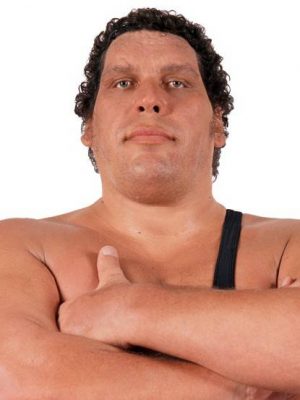 Andre The Giant