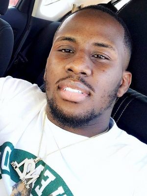 טווין פארמר