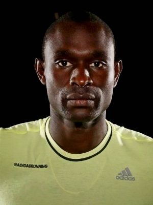 ديفيد روديشا