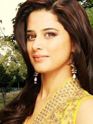 מהרין ראהיל