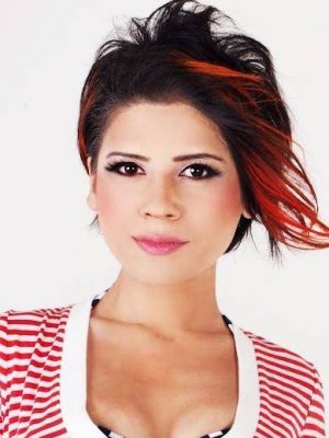 アイディルジュ