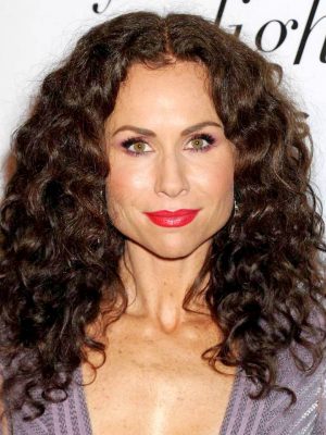 מיני דרייבר