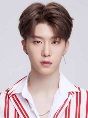 Fan ChengCheng
