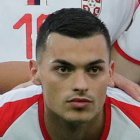 נמניה רדונג'יק