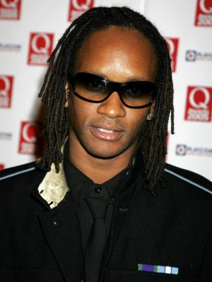 מציאות מקסימלית