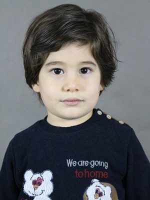 アリ セミ セフィル