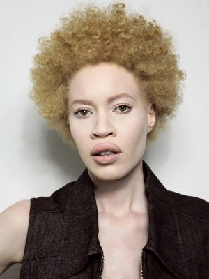 ディアンドラ フォレスト