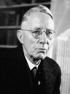 יוהנס וילהלם ג'נסן